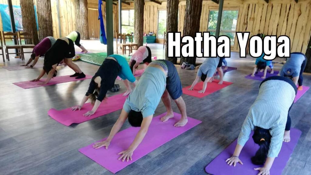 hatha yoga